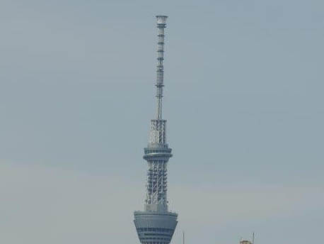 �������c��